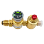 Adjustable pressure regulator 15-29 PSI / Ripagreen