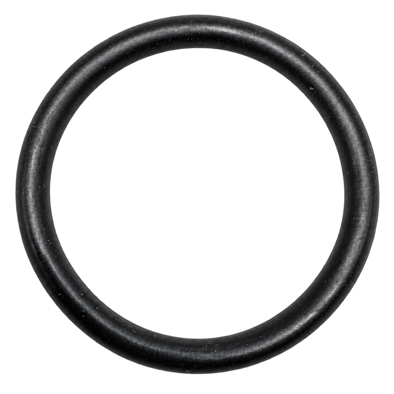 O'Ring R10 (Hose Reel)